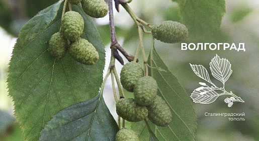 Репродуктивное здоровье женщины: от менархе до менопаузы, г. Волгоград