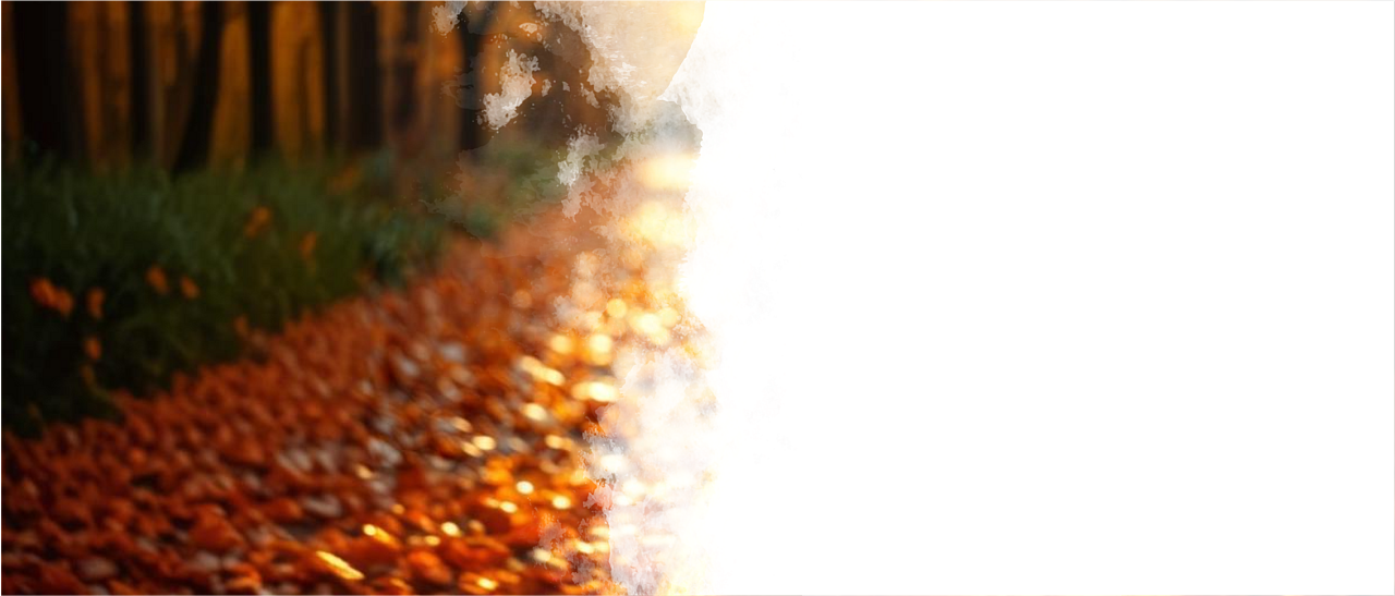 Женское здоровье, Московская область