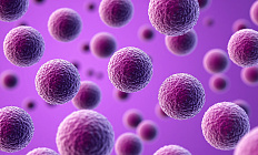 От матери к ребенку: исследование показало высокий риск перинатальной передачи супербактерий