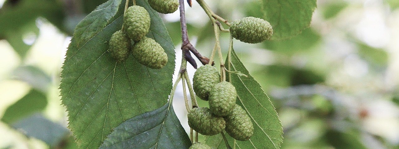 Репродуктивное здоровье женщины: от менархе до менопаузы, г. Волгоград