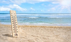 Жаркий климат крайне опасен для плодов мужского пола, считают ученые