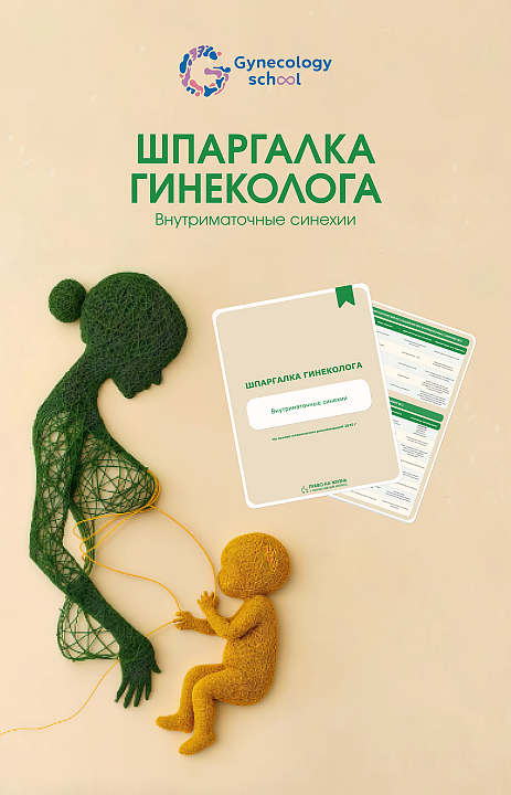 Внутриматочные синехии: шпаргалка для врача 