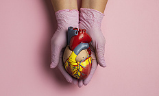 Описан молекулярный механизм развития перипартальной кардиомиопатии