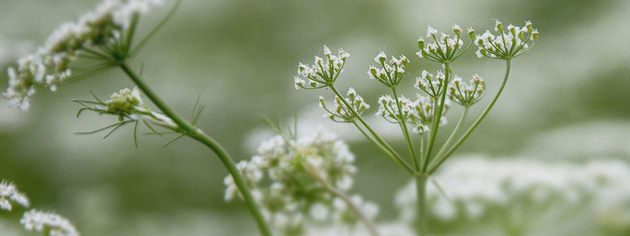 Сложный пациент в акушерстве и гинекологии: нерешенные вопросы, г. Уфа